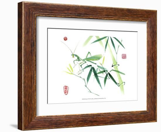 Mantis-Nan Rae-Framed Art Print