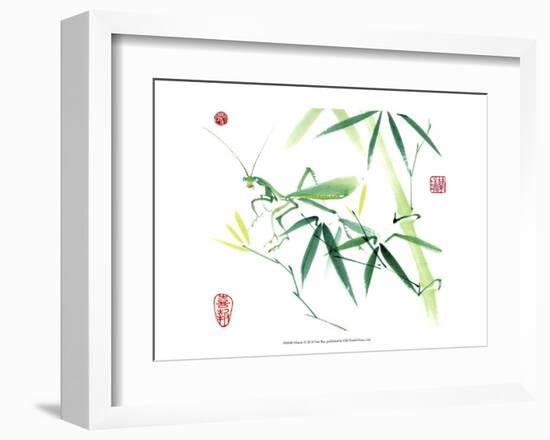 Mantis-Nan Rae-Framed Art Print