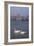 Mantua Swans-Charles Bowman-Framed Photographic Print