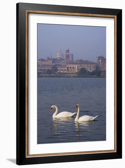 Mantua Swans-Charles Bowman-Framed Photographic Print