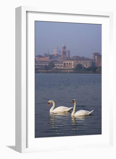 Mantua Swans-Charles Bowman-Framed Photographic Print