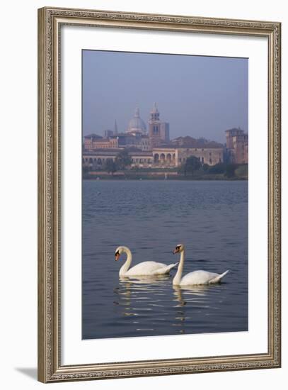 Mantua Swans-Charles Bowman-Framed Photographic Print