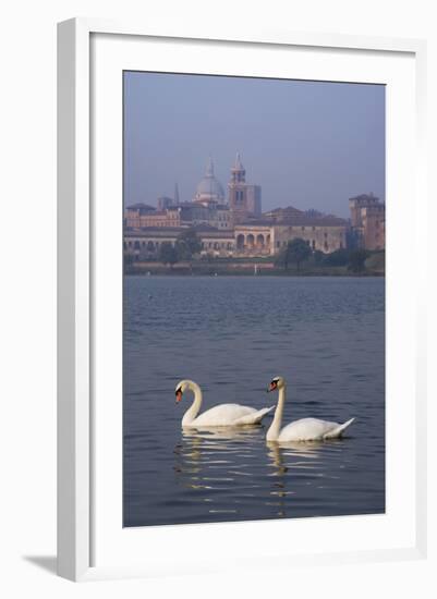 Mantua Swans-Charles Bowman-Framed Photographic Print