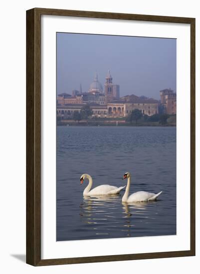 Mantua Swans-Charles Bowman-Framed Photographic Print