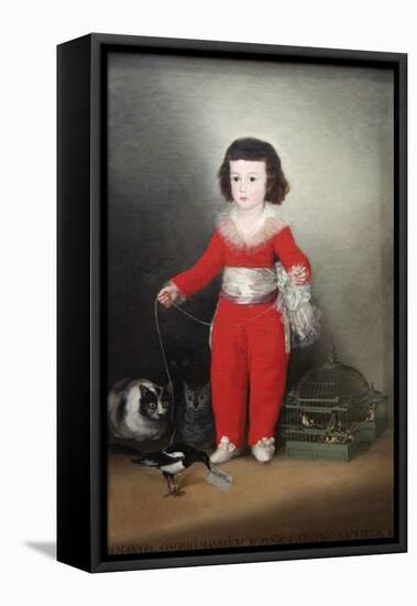 Manuel Osorio Manrique De Zuñiga, a Child with His Pets-Francisco de Goya-Framed Stretched Canvas
