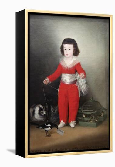 Manuel Osorio Manrique De Zuñiga, a Child with His Pets-Francisco de Goya-Framed Stretched Canvas