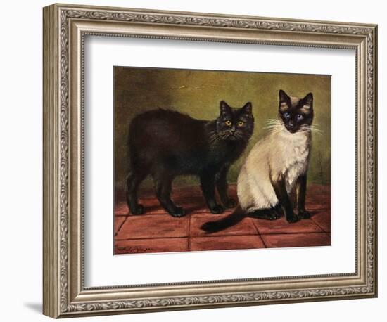 Manx and Siamese Cats-W. Luker-Framed Photographic Print