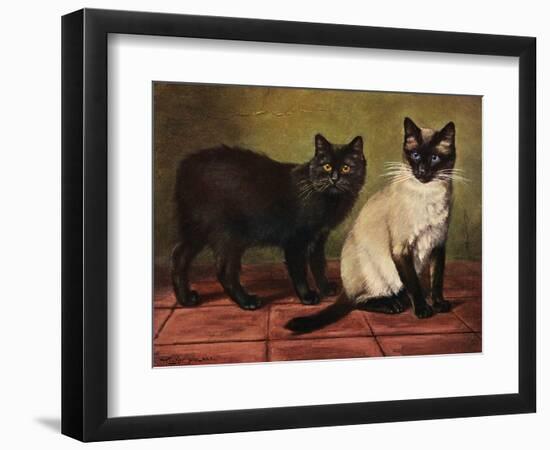 Manx and Siamese Cats-W. Luker-Framed Photographic Print