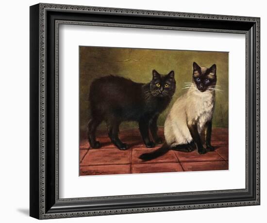 Manx and Siamese Cats-W. Luker-Framed Photographic Print