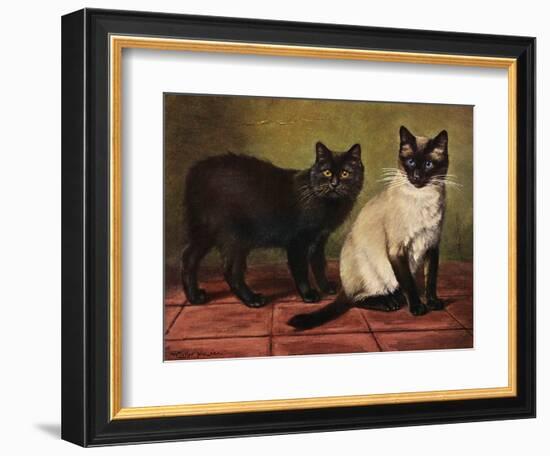 Manx and Siamese Cats-W. Luker-Framed Photographic Print