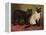 Manx and Siamese Cats-W. Luker-Framed Premier Image Canvas