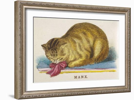 Manx Cat-null-Framed Art Print