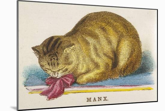Manx Cat-null-Mounted Art Print