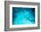 Many Bubbles in Water Close Up, Abstract Water Wave with Bubbles-Andrey Armyagov-Framed Photographic Print