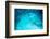 Many Bubbles in Water Close Up, Abstract Water Wave with Bubbles-Andrey Armyagov-Framed Photographic Print