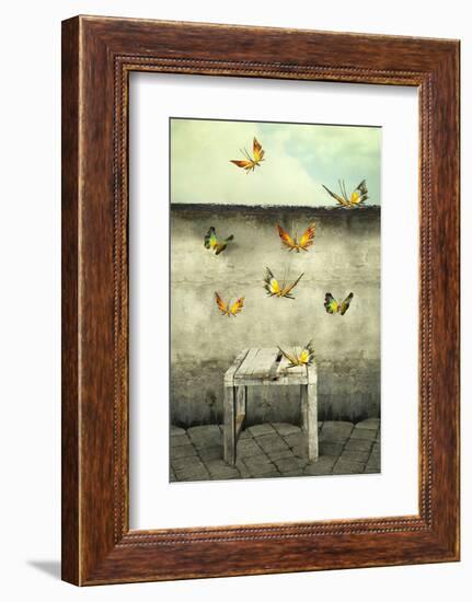 Many Colorful Butterflies Flying into the Sky with a Peeling Wall and a Bench, Illustrative Photo A-Valentina Photos-Framed Photographic Print