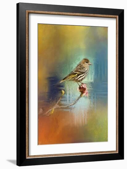 Many Colors-Jai Johnson-Framed Giclee Print