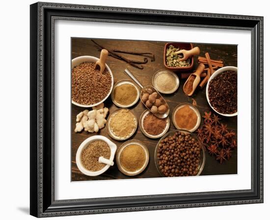 Many Different Spices-null-Framed Photographic Print