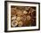 Many Different Spices-null-Framed Photographic Print