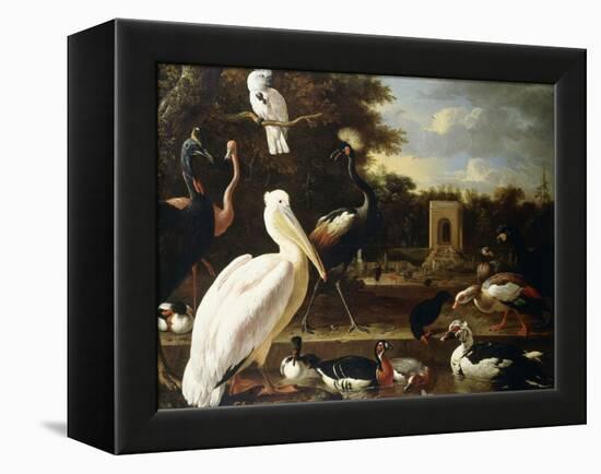 Many Different Types of Birds at a Pool in a Park-Melchior de Hondecoeter-Framed Premier Image Canvas