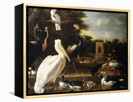 Many Different Types of Birds at a Pool in a Park-Melchior de Hondecoeter-Framed Premier Image Canvas