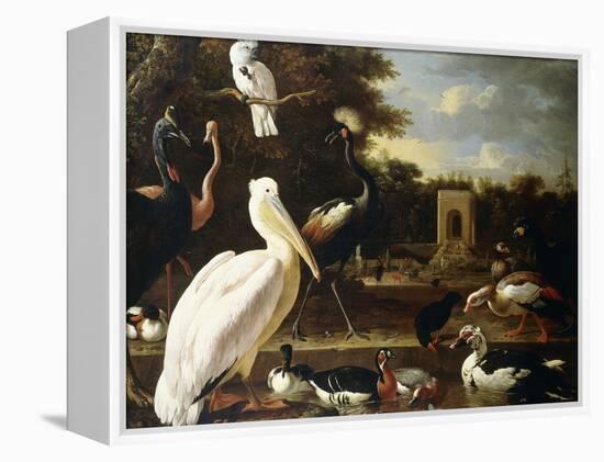 Many Different Types of Birds at a Pool in a Park-Melchior de Hondecoeter-Framed Premier Image Canvas