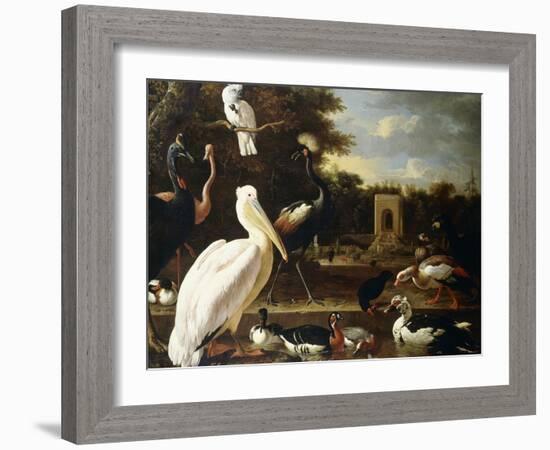 Many Different Types of Birds at a Pool in a Park-Melchior de Hondecoeter-Framed Giclee Print