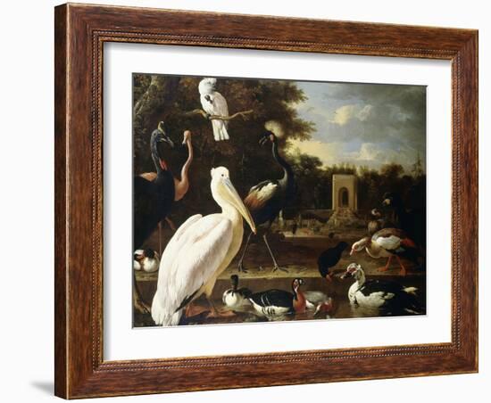 Many Different Types of Birds at a Pool in a Park-Melchior de Hondecoeter-Framed Giclee Print