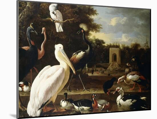 Many Different Types of Birds at a Pool in a Park-Melchior de Hondecoeter-Mounted Giclee Print