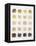 Many Different Types of Rice Laid Out in Small Squares-Bodo A^ Schieren-Framed Premier Image Canvas