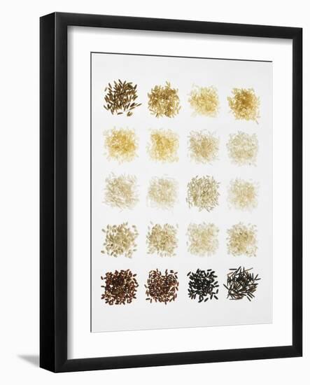 Many Different Types of Rice Laid Out in Small Squares-Bodo A^ Schieren-Framed Photographic Print