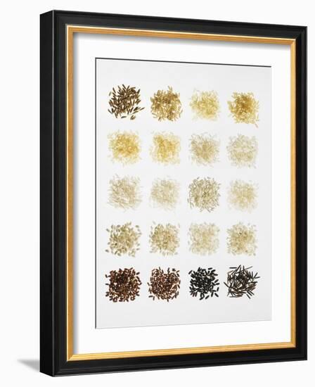 Many Different Types of Rice Laid Out in Small Squares-Bodo A^ Schieren-Framed Photographic Print