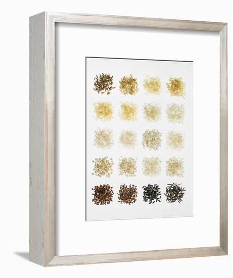 Many Different Types of Rice Laid Out in Small Squares-Bodo A^ Schieren-Framed Photographic Print