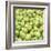 Many Green Apples (Full Frame)-Foodcollection-Framed Photographic Print