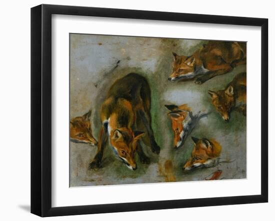 Many of Boels sketches were used in the tapestries woven in Les Gobelins. A fox-Pieter Boel-Framed Giclee Print