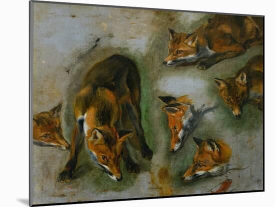 Many of Boels sketches were used in the tapestries woven in Les Gobelins. A fox-Pieter Boel-Mounted Giclee Print