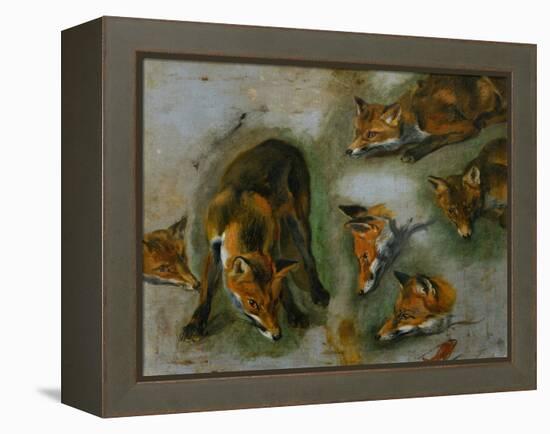 Many of Boels sketches were used in the tapestries woven in Les Gobelins. A fox-Pieter Boel-Framed Premier Image Canvas