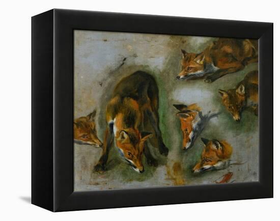 Many of Boels sketches were used in the tapestries woven in Les Gobelins. A fox-Pieter Boel-Framed Premier Image Canvas