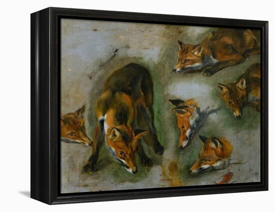 Many of Boels sketches were used in the tapestries woven in Les Gobelins. A fox-Pieter Boel-Framed Premier Image Canvas