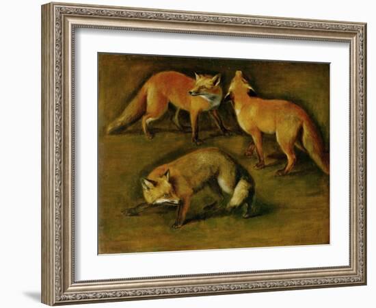 Many of Boels sketches were used in the tapestries woven in Les Gobelins. A fox-Pieter Boel-Framed Giclee Print