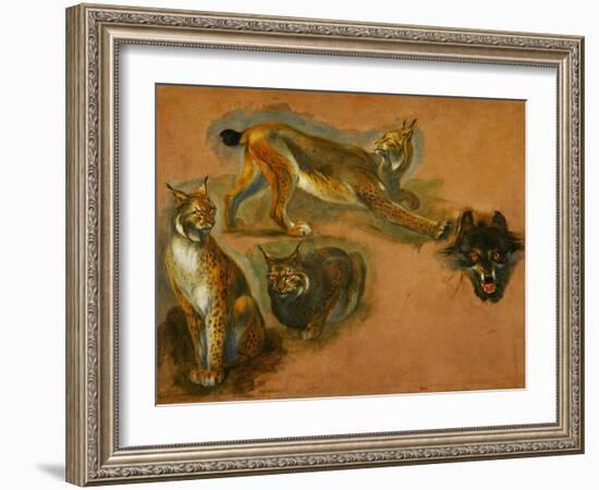 Many of Boels sketches were used in the tapestries woven in Les Gobelins. A lynx; head of a wolf.-Pieter Boel-Framed Giclee Print