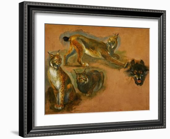 Many of Boels sketches were used in the tapestries woven in Les Gobelins. A lynx; head of a wolf.-Pieter Boel-Framed Giclee Print