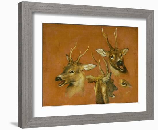 Many of Boels sketches were used in the tapestries woven in Les Gobelins.Head studies of a roebuck-Pieter Boel-Framed Giclee Print