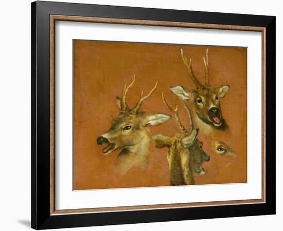 Many of Boels sketches were used in the tapestries woven in Les Gobelins.Head studies of a roebuck-Pieter Boel-Framed Giclee Print