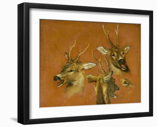 Many of Boels sketches were used in the tapestries woven in Les Gobelins.Head studies of a roebuck-Pieter Boel-Framed Giclee Print