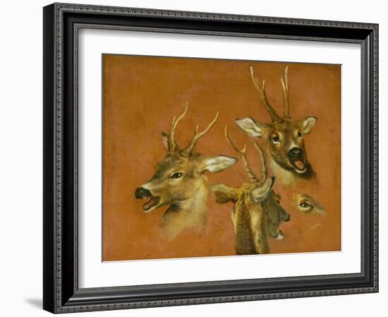 Many of Boels sketches were used in the tapestries woven in Les Gobelins.Head studies of a roebuck-Pieter Boel-Framed Giclee Print