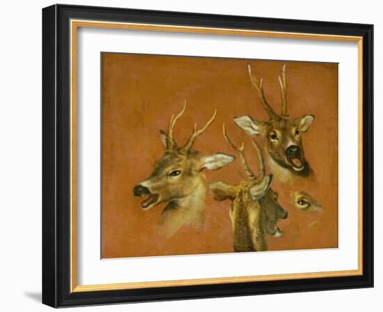 Many of Boels sketches were used in the tapestries woven in Les Gobelins.Head studies of a roebuck-Pieter Boel-Framed Giclee Print