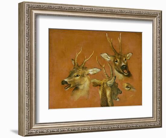 Many of Boels sketches were used in the tapestries woven in Les Gobelins.Head studies of a roebuck-Pieter Boel-Framed Giclee Print