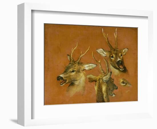 Many of Boels sketches were used in the tapestries woven in Les Gobelins.Head studies of a roebuck-Pieter Boel-Framed Giclee Print