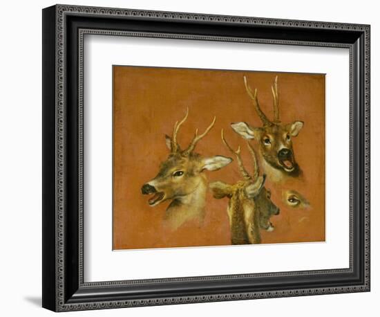 Many of Boels sketches were used in the tapestries woven in Les Gobelins.Head studies of a roebuck-Pieter Boel-Framed Giclee Print